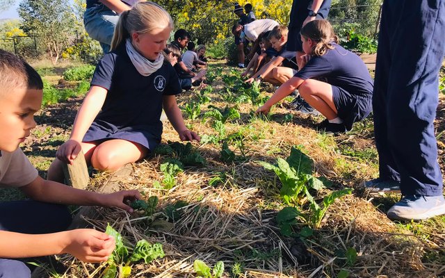 Enrichment Class - RAW - Xplorio™ Greyton