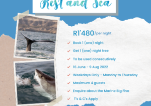 Winter Accommodation Special