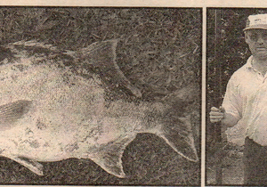 Toeka Se Koerantberigte