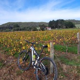 Gansbaai Mountain Bike Rides & Routes - Mountain biking - Xplorio™ Gansbaai