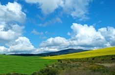 2015_08_25_13.32.02_1655801869