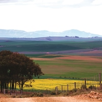 Chas Everitt Bredasdorp - Xplorio™ Bredasdorp