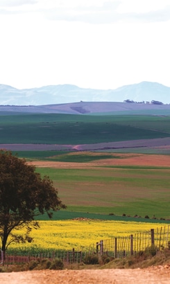 Andre_Pretorius_1655801900