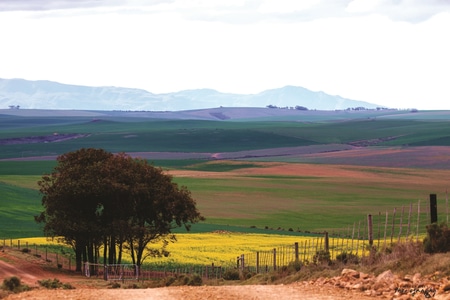 Andre_Pretorius_1655802321