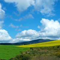 Chas Everitt Napier - Xplorio™ Napier 