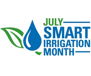 Stand a chance to WIN a Garden Micro Drip Irrigation Kit