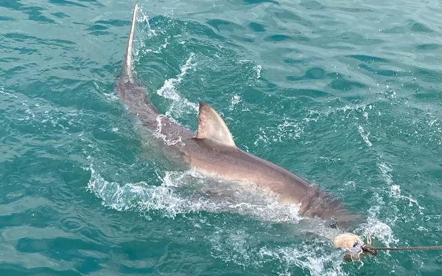 WhatsApp_Image_2022_06_25_at_5.15.31_PM_1_1656317032