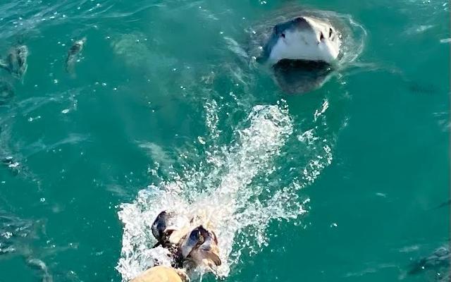 WhatsApp_Image_2022_06_26_at_1.41.37_PM_1656317034