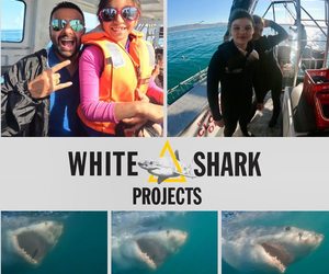 Family-Friendly Shark Cage Diving