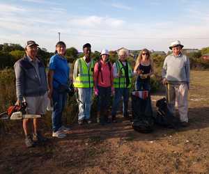 More than 1000 invasive alien plants removed in June!