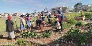 Practical in the community/training garden.