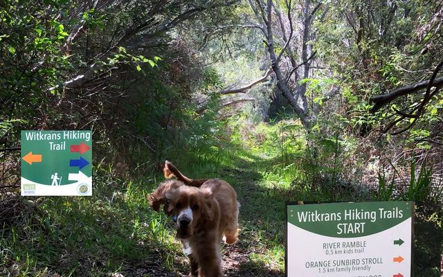 Hiking Trail options from Witkrans