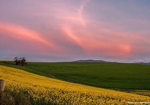 We Love Winter Sunsets in Caledon!