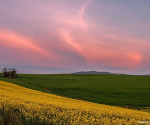 We Love Winter Sunsets in Caledon!