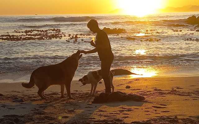 WhatsApp_Image_2022_06_30_at_11.56.51_AM_1__1656588840