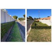 Sidewalk Gardening and Pedestrian-Friendly Features