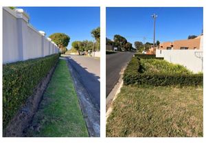 Sidewalk Gardening and Pedestrian-Friendly Features