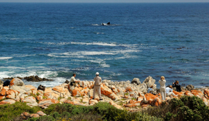 The all-time marine season is here!