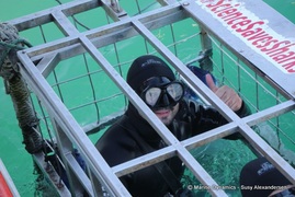 Daily Blog: 04 July 2022 | Shark Cage Diving in South Africa