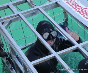 Daily Blog: 04 July 2022 | Shark Cage Diving in South Africa