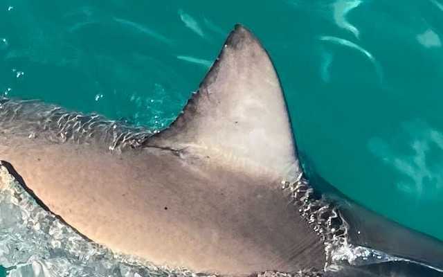 290340074_5329566367081835_7320051587225379672_n_1657016373