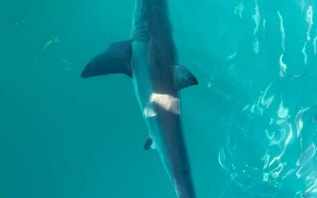 290988389_5329567630415042_565784160458989390_n_1657016371