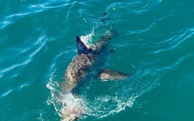 292216910_5329566913748447_7426774057764095676_n_1657016373