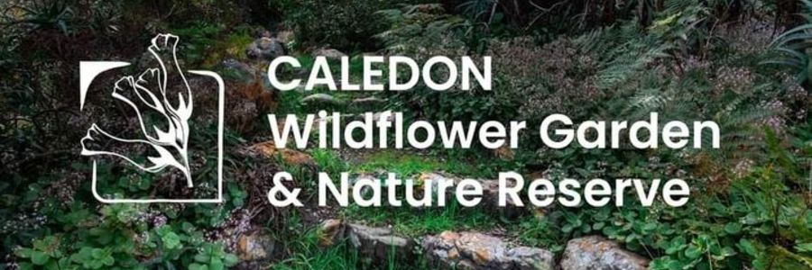 Logo - Caledon Wildflower Garden - Xplorio™ Caledon