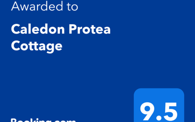 Award - Caledon Protea Cottage -  Xplorio™ Caledon