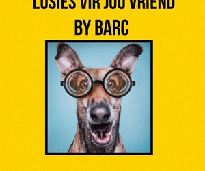 Pet Boarding / Kennel