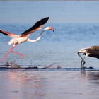 Photo Credit: Dionne Miles - De Hoop Collection - Xplorio™ Bredasdorp Photo Credit: Dionne Miles - De Hoop Collection - Xplorio™ Bredasdorp