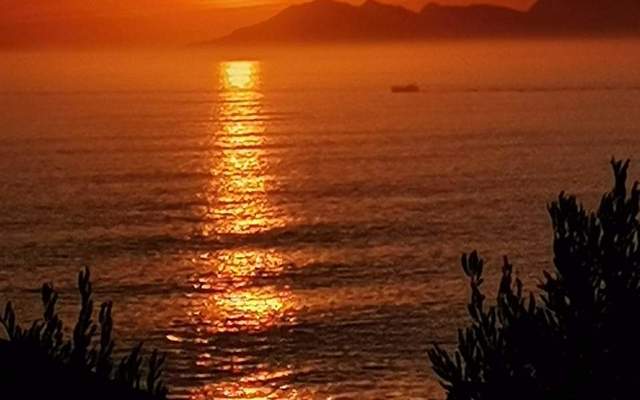 WhatsApp_Image_2022_07_17_at_5.53.02_AM_1_1658136246