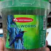 Mealworms - The Pet Grocer - Xplorio™ Gansbaai