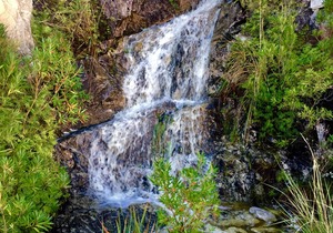 Villiersdorp Water Watch: July 20th 2022