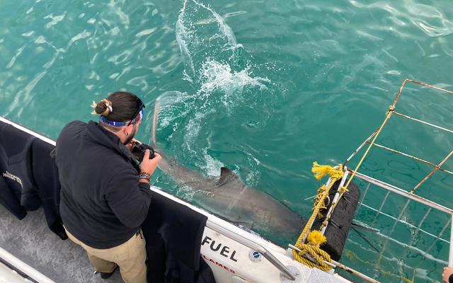 WhatsApp_Image_2022_07_21_at_10.11.09_AM_1_1658396900