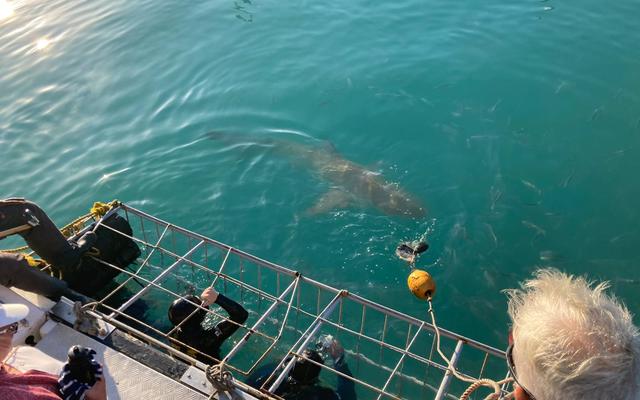 WhatsApp_Image_2022_07_21_at_10.11.11_AM_1658396900