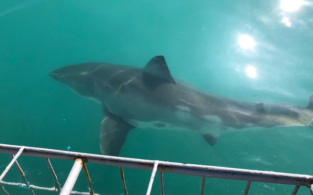 WhatsApp_Image_2022_07_21_at_10.11.13_AM_1658396901