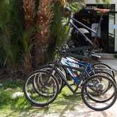 Bicycles - Chadoka Art & Bicycles - Xplorio™ Pringle Bay