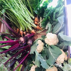 Veggie Box - RAW - Xplorio™ Greyton