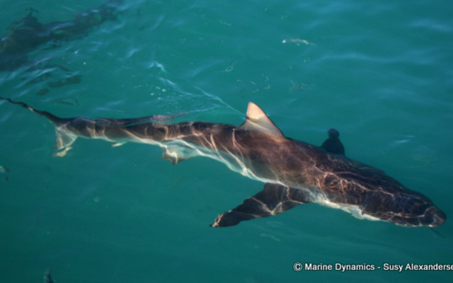 WhatsApp_Image_2022_07_26_at_11.45.03_AM_2_1658829389