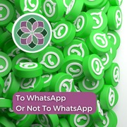 To WhatsApp Or Not To WhatsApp