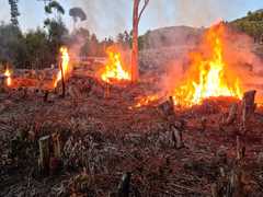 Notice of Prescribed Burn in Hemel-en-Aarde Valley Today 26.07.2022