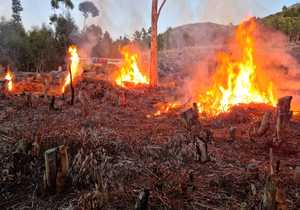 Notice of Prescribed Burn in Hemel-en-Aarde Valley Today 26.07.2022