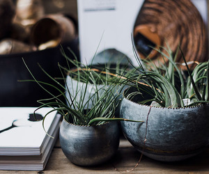 Vacancy in Hermanus: Medical Receptionist