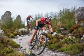 Wine 2 Whales Is Around The Corner!