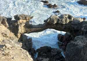 Explore Our Beautiful Coastline