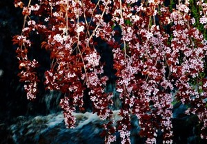 Villiersdorp Water Watch: August 10th 2022