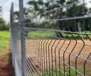 We Need Your Help - Security Fence Needed