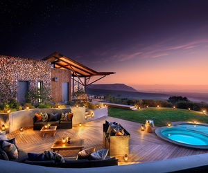 Celebrate the Splendour Of Spring At Grootbos