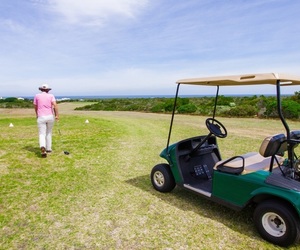 Golf Competition Results for 10 - 14 August 2022